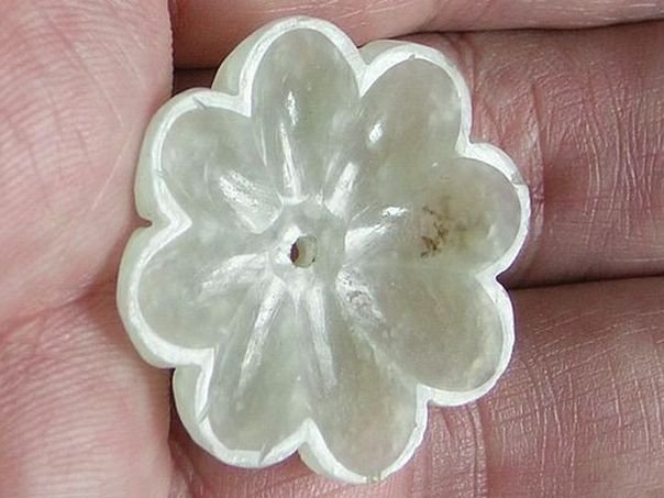 Flower 433 - (7956)